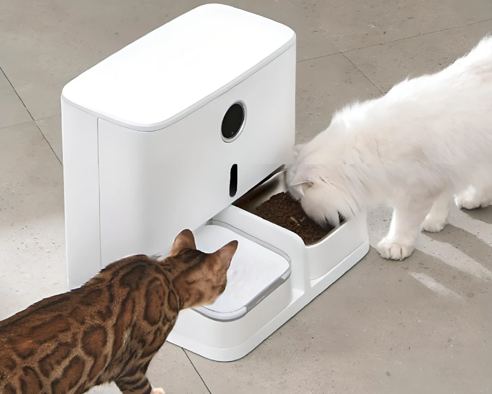 pet water and food dispenser